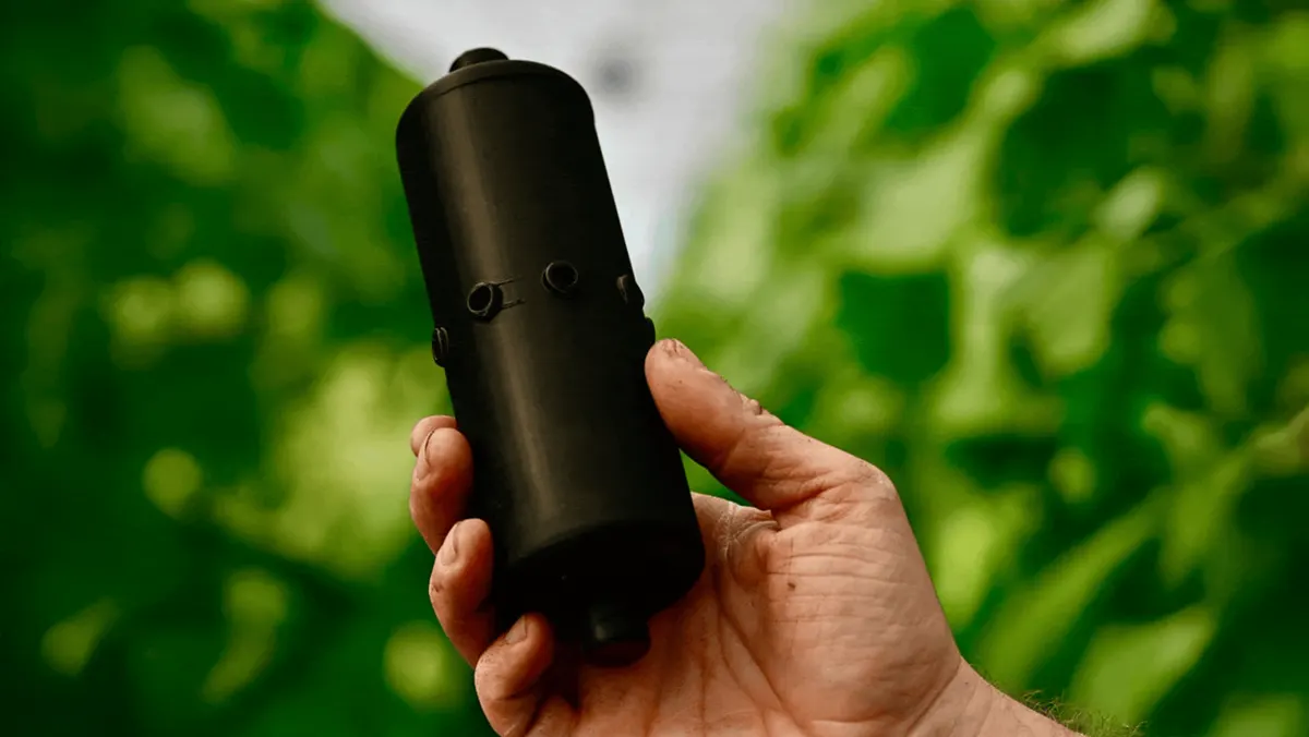 Écouter les plantes
