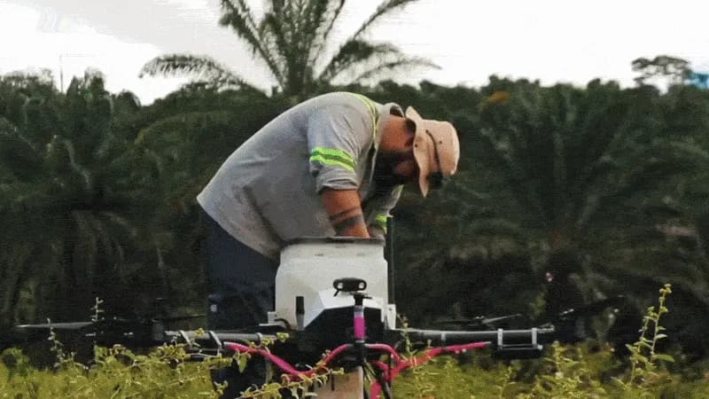 La forêt qui repousse à la vitesse d’une imprimante 3D.