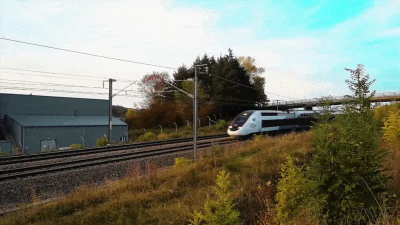 Le flightradar du train