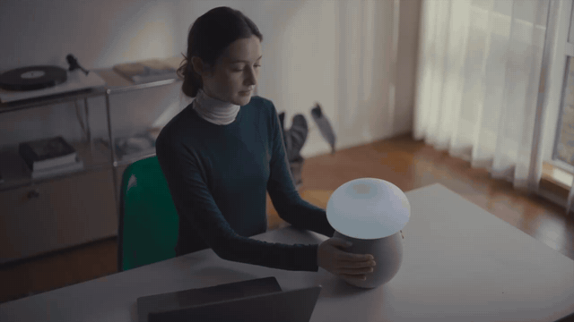 Un champignon a poussé sur la table de nuit